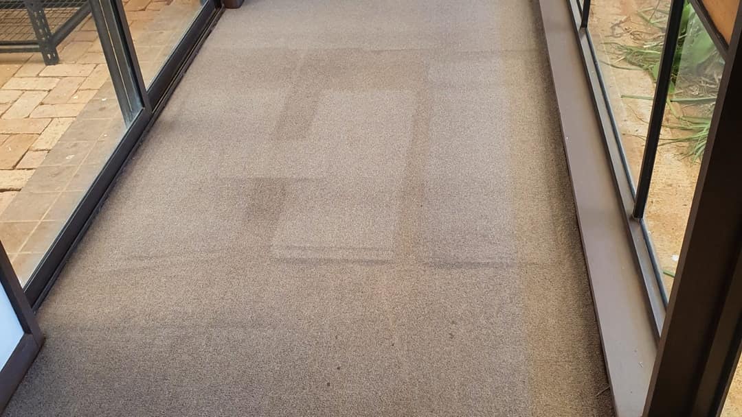 Carpet cleaning test patch on a sunroom carpet showing the difference