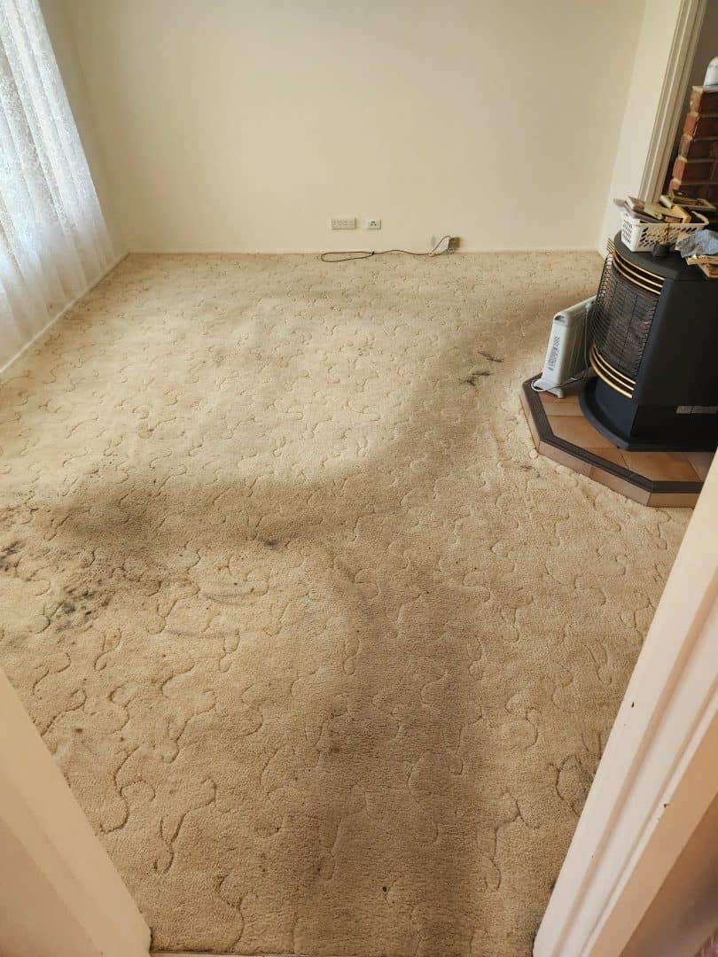 Before - the same carpet with a heavy traffic lane before cleaning