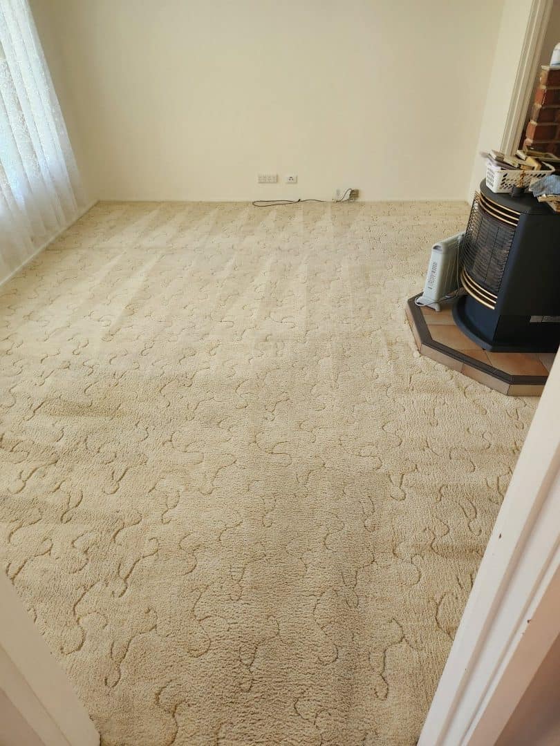 After - lounge room carpet by a wood heater after Ultraclean steam cleaning