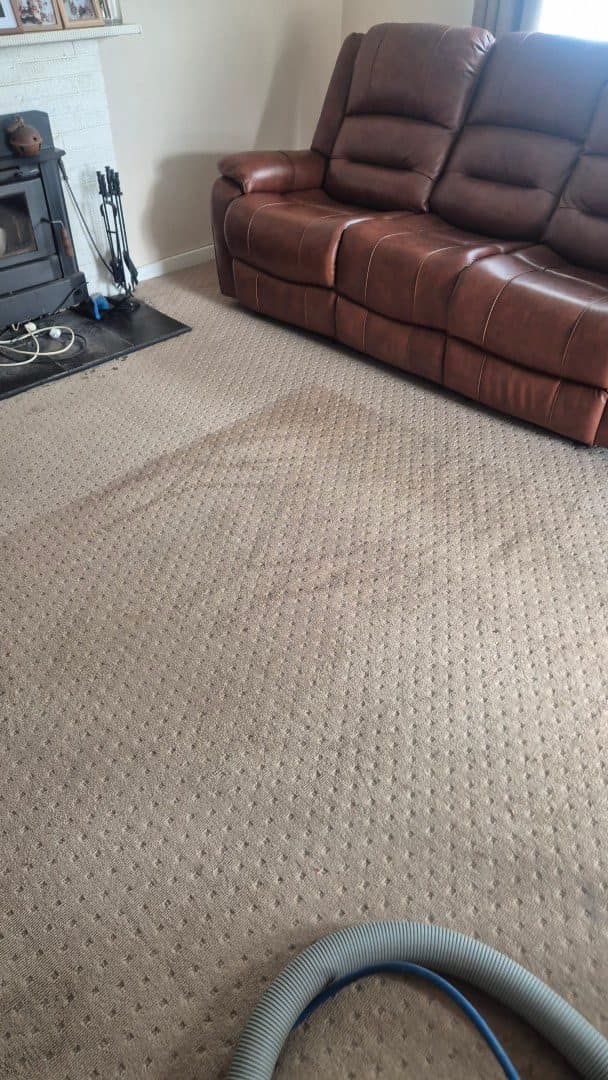 Carpet cleaning Swan Hill - lounge room carpet half cleaned showing the difference